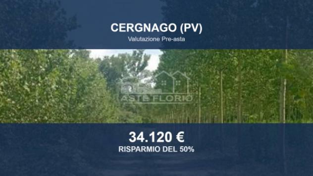 Immobile in asta di 24121 m² in vendita a Cergnago