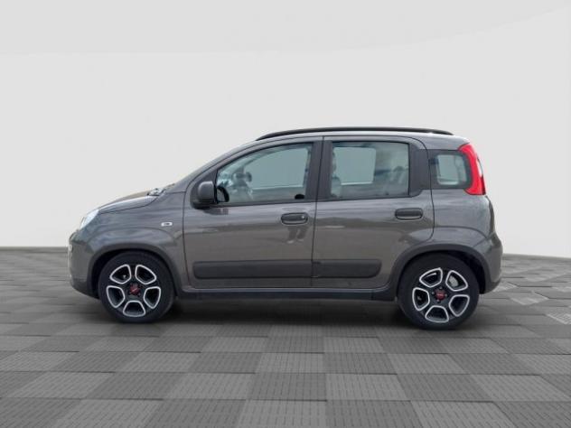 FIAT Panda Panda 1.0 FireFly Hybrid City Life rif. 23697074 - Foto 2