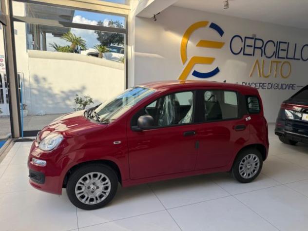 FIAT Panda 1.0 FireFly S&S Hybrid Pop da €139,00 mensili rif. 23353166 - Foto 4