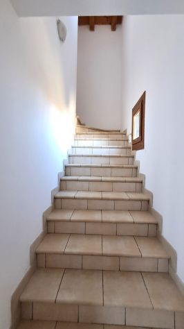 Duplex Panoramico - Foto 4