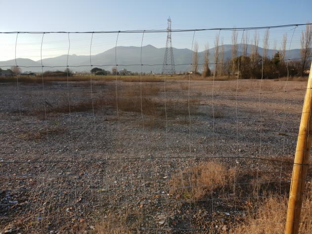 Area verde in vendita a Calcinaia