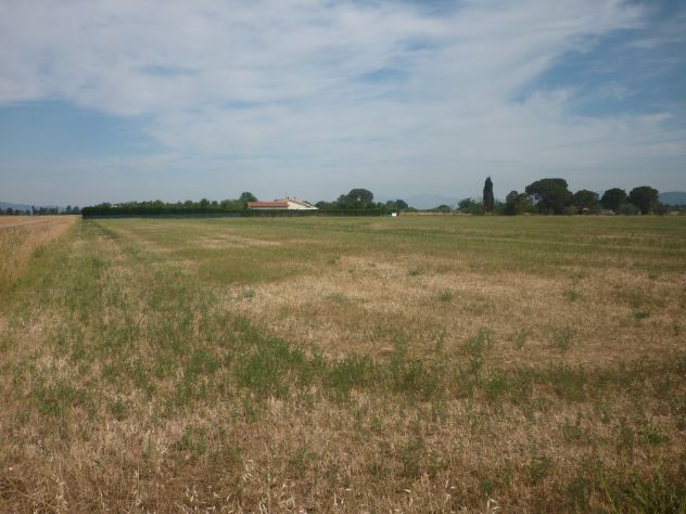Terreno agricolo alla Rugginosina - GROSSETO- - Foto 2