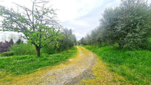 Casa semindipendente in vendita a San Miniato Basso - San Miniato 250 mq Rif: 1337005 - Foto 4