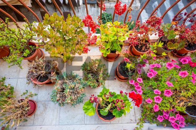 Appartamento in vendita a Taormina, Centro - Foto 12