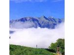 Nido di Rondine B&B