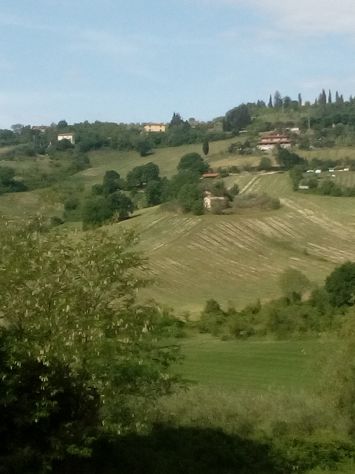 Poggio con Casale e 16 Ettari di Terreno Agricolo - Foto 3