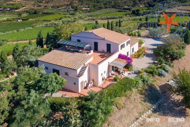 PORTO AZZURRO - ELBA - TRILOCALE IN CASALE - Foto 3