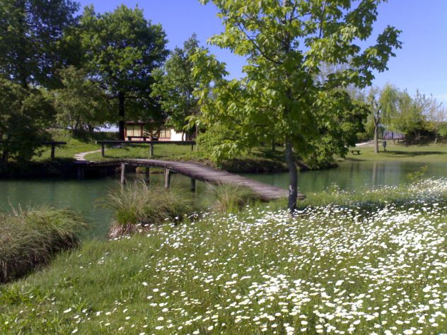 Bar Trattoria con Parco e Lago mq. 50.000 - Foto 3