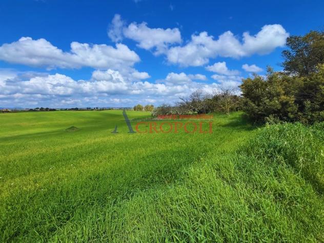 Terreno Agricolo - Rif. 2468 - Foto 4