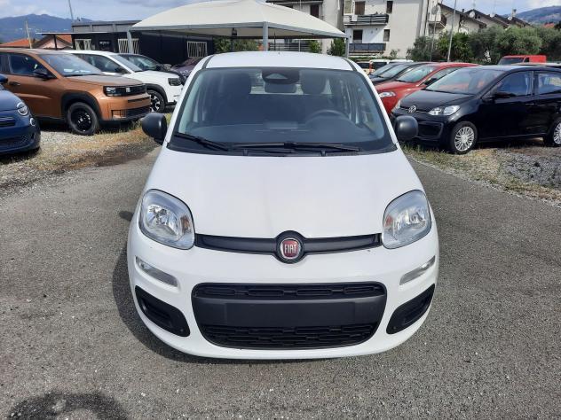 FIAT Pandina PANDA MY26 1.0 65CV HYBRID ICON - Foto 2