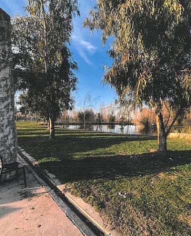 Immobile in asta di 166 m² con più di 5 locali in vendita a Santa Maria di Sala - Foto 9