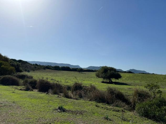 Casale in vendita a Vignola Mare - Aglientu 83000 mq Rif: 1395911 - Foto 3