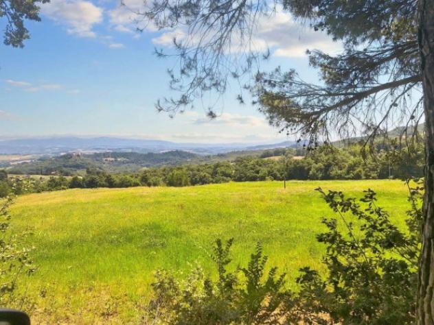 Immobile in asta di 75660 m² in vendita a Monte Castello di Vibio - Foto 13