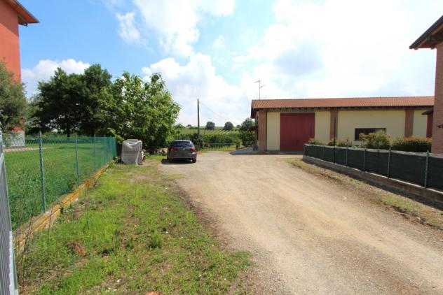Vigneto in vendita a Valsamoggia - Foto 13