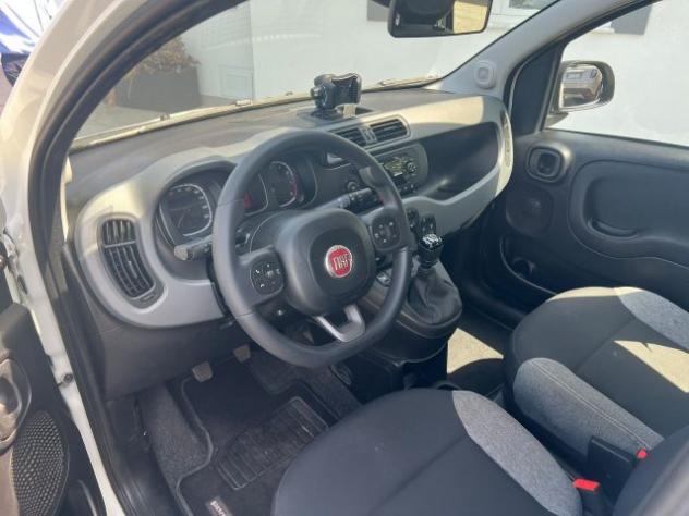 FIAT Panda Panda 1.2 easypower City Life Gpl s&s 69cv rif. 23920987 - Foto 7