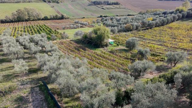 Terratetto in vendita a Malmantile - Lastra a Signa 140 mq Rif: 1364604 - Foto 6