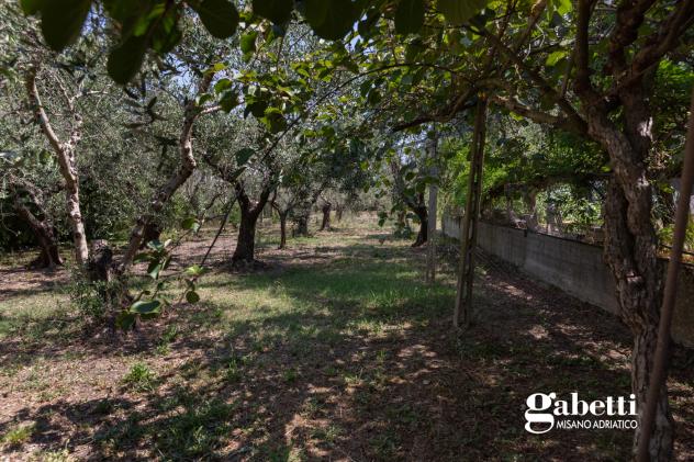 Terratetto - San Giovanni in Marignano . Rif.: MV017VRG - Foto 16