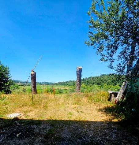 Appartamento in affitto a Fauglia 30 mq Rif: 1421064 - Foto 9