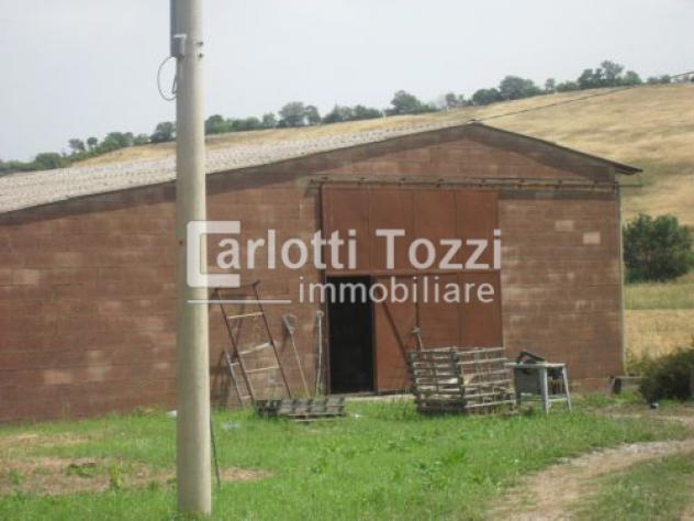 RUSTICO di 7 vani e di 160 mq (CAMPAGNATICO) rif. 01590 - Foto 14