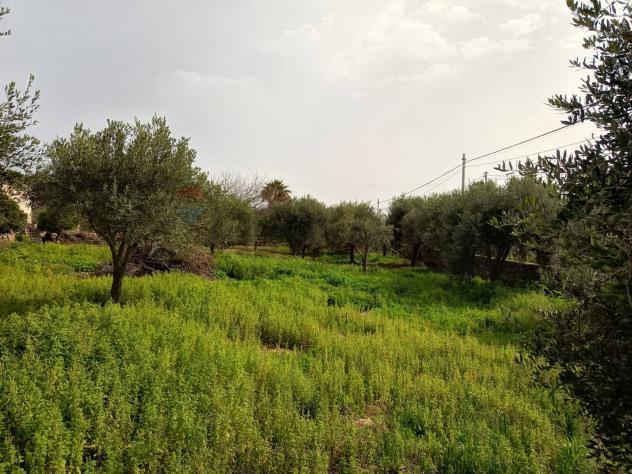 Terreno Edificabile in vendita a Siracusa, Plemmirio - Foto 10