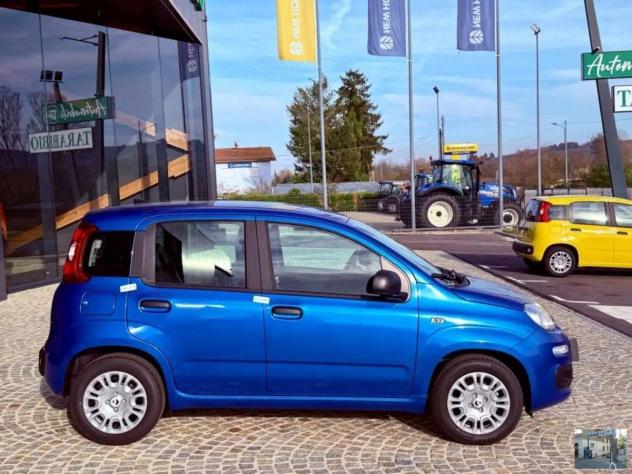 FIAT - Panda - 1.0 FireFly S&S Hybrid Launch Ed. - Foto 10