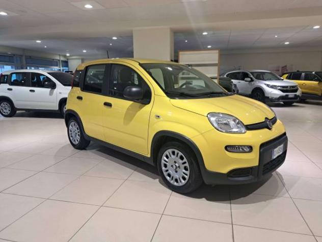 Fiat Panda Pandina III 2024 Pandina 1.0 firefly hybrid s - Foto 4