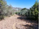 Terreno Agricolo - Colonnella . Rif.: Cod. rif A242VCG