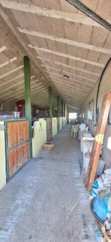 Magazzino in vendita a Loreto Aprutino - Foto 5