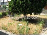 Abitazione di tipo economico di 83 mq  in vendita a Casaleone - Rif. 4547980