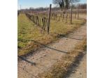Immobile in asta di 8140 m² in vendita a Faedis