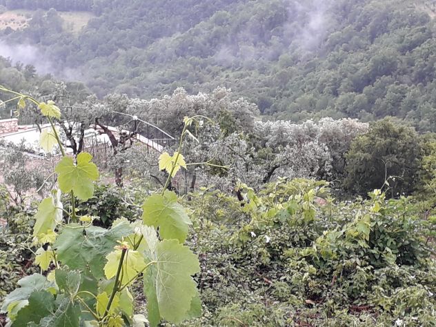 Terreno vicino le sorgenti del Farfa a Frasso Sabino
