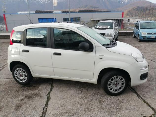 FIAT Panda 1.0 GSE S&S Hybrid Pop Van 2 posti rif. 23820160 - Foto 2