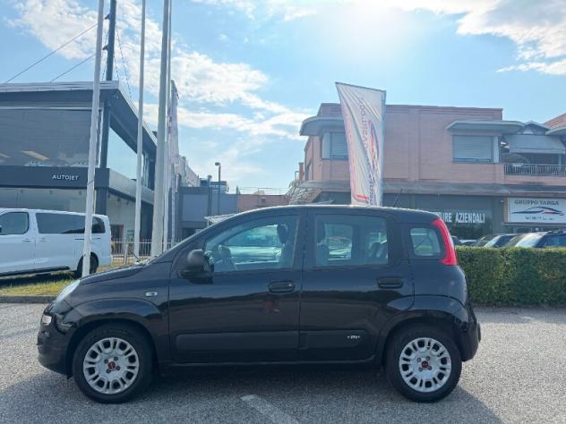 FIAT Panda 3ª serie Panda 1.0 FireFly S&S Hybrid