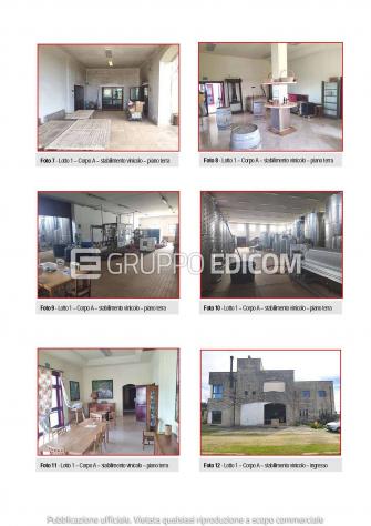 Fabbricati per attività agricole in vendita a Galatina - Rif. 4553054 - Foto 8