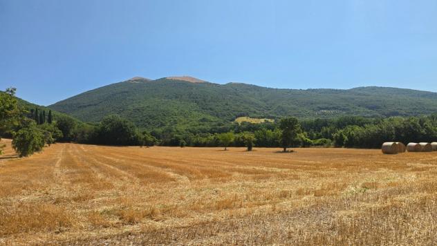 Magazzino in vendita a Nocera Umbra - Foto 13