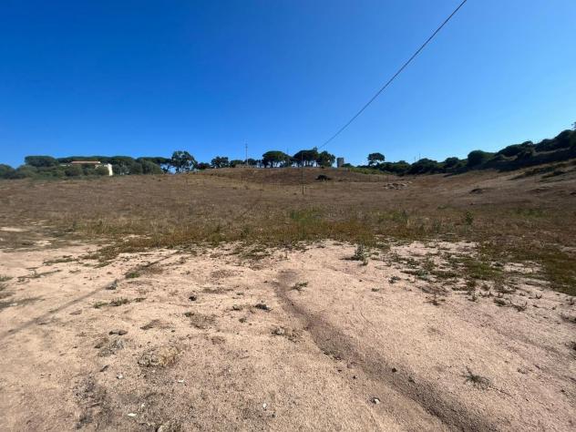 Annesso agricolo in vendita a Luogosanto 22800 mq Rif: 1348054 - Foto 8