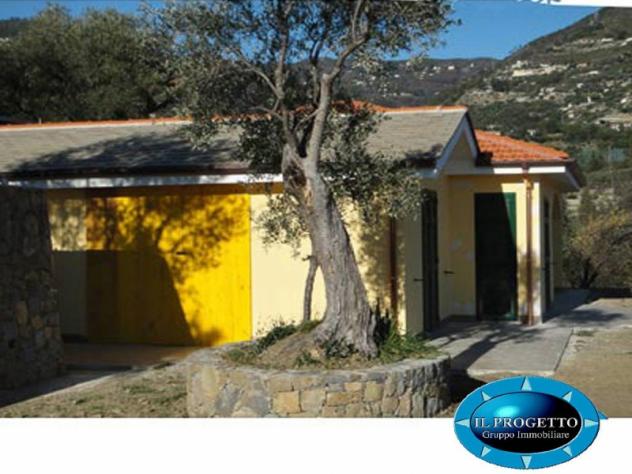 Villa singola in Vendita a Sanremo + terreni e rustico – via Borgo Tinasso - Foto 6