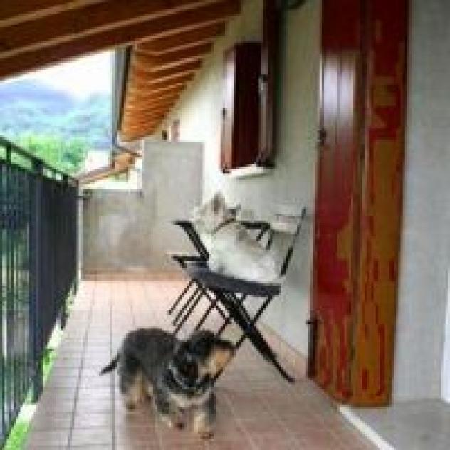 B&B Marostica - Foto 4