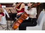 Violoncellista Lodi