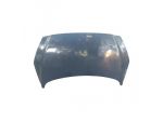 COFANO ANTERIORE PEUGEOT 308 Serie 7901P6 (0714)