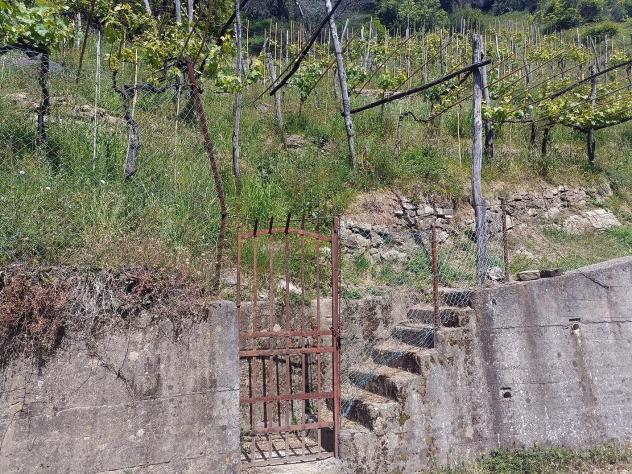 Terreno agricolo in vendita a Fontia - Carrara 3000 mq Rif: 798593 - Foto 2