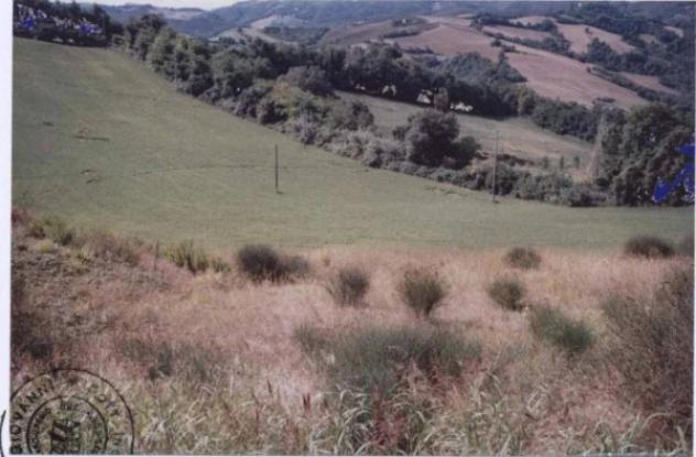 Immobile in asta di 34365 m² in vendita a Pesaro - Foto 3