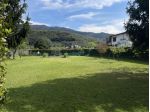 Agricolo in vendita a Pietrasanta
