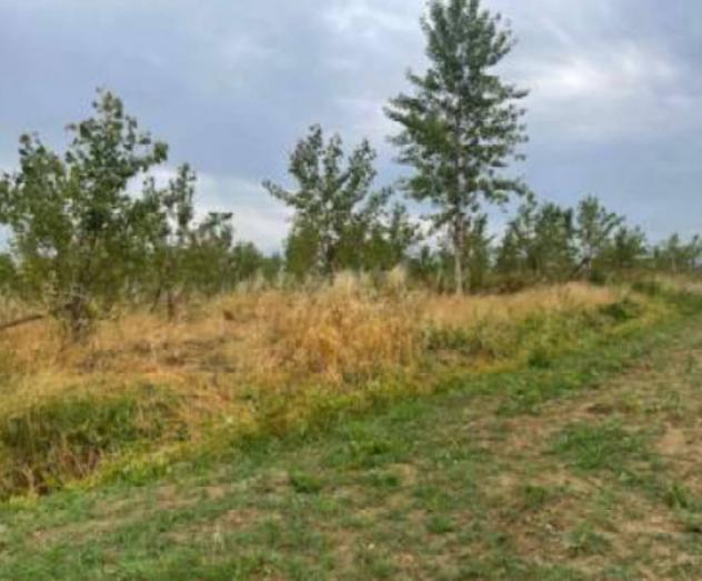 Immobile in asta di 32085 m² in vendita a Portogruaro - Foto 5
