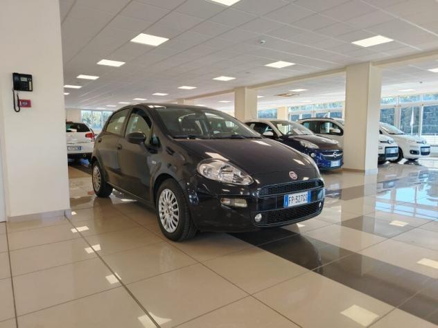 FIAT Punto 4ª serie Punto 1.3 MJT II S&S 95 CV 5 porte Street - Foto 4