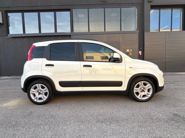 FIAT Panda Panda 1.0 firefly hybrid City Life s&s 70cv - Foto 4