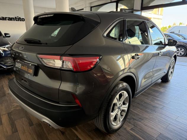 Ford Kuga Kuga 1.5 ecoblue Titanium Business 2wd 120cv - Foto 6