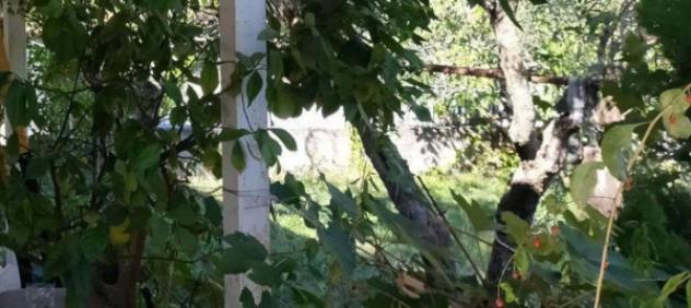 Immobile in asta di 305 m² in vendita a San Vincenzo la Costa - Foto 6