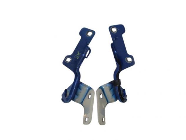 Cerniere Cofano Anteriore Renault Clio 3 - 29975