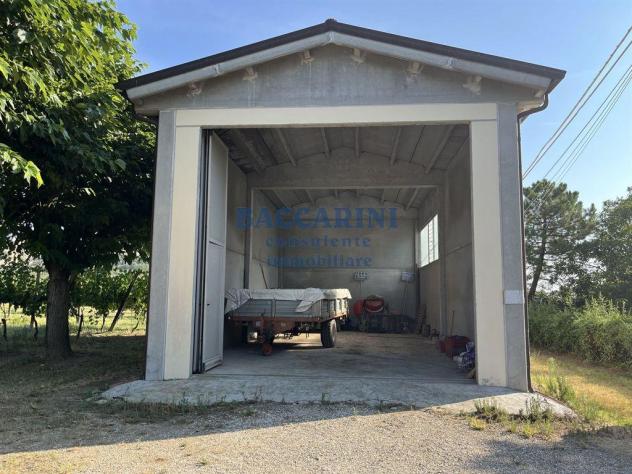 FONDO AGRICOLO CANOVA - BRISIGHELLA VIA FAENTINA VICINO AL CIVICO 95 - Foto 7